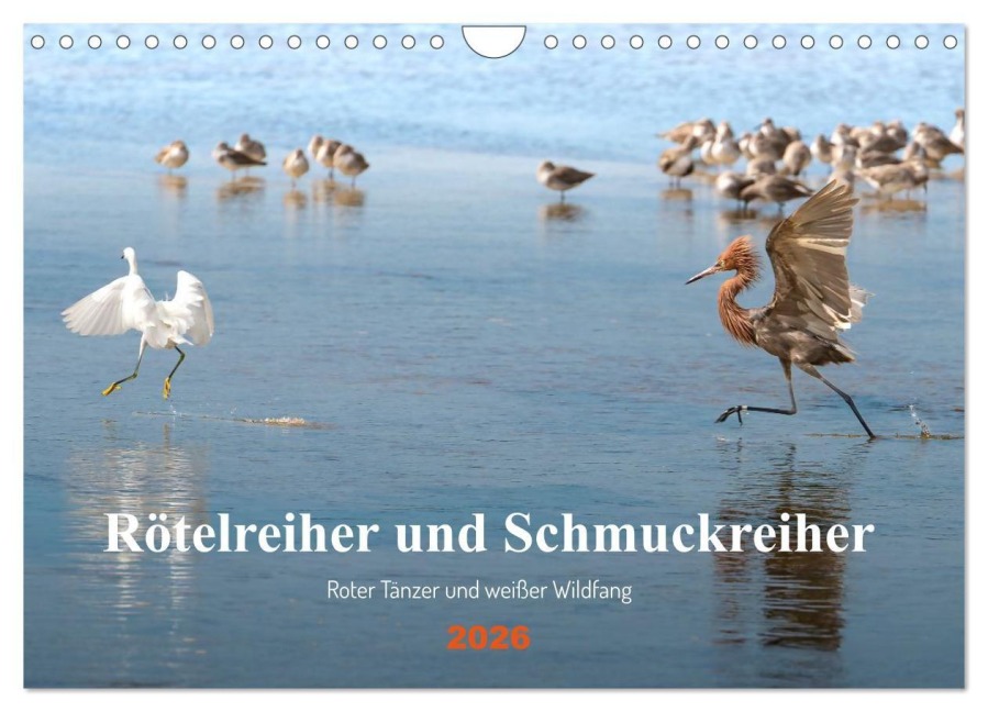 Rötelreiher und Schmuckreiher (Wandkalender 2026 DIN A4 quer), CALVENDO Monatskalender - Iris Editha Schacht