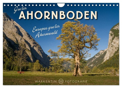 Großer Ahornboden - Europas großer Ahornwald (Wandkalender 2025 DIN A4 quer), CALVENDO Monatskalender - Karl H. Warkentin