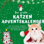 Der grosse Katzen-Adventskalender - Bibi Hübsch