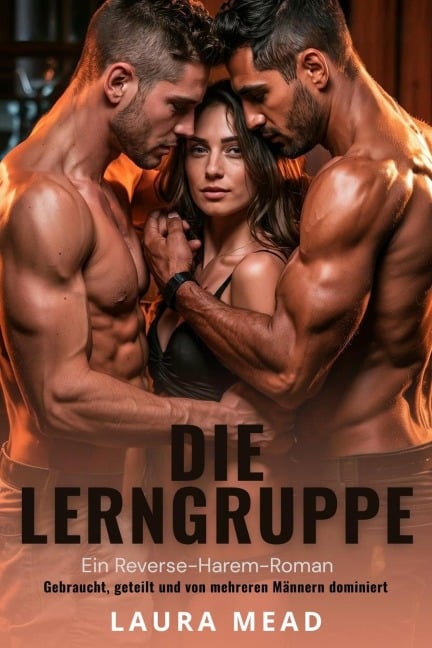 Die Lerngruppe: Ein Reverse-Harem-Roman - Gebraucht, geteilt und von mehreren Männern dominiert - Laura Mead