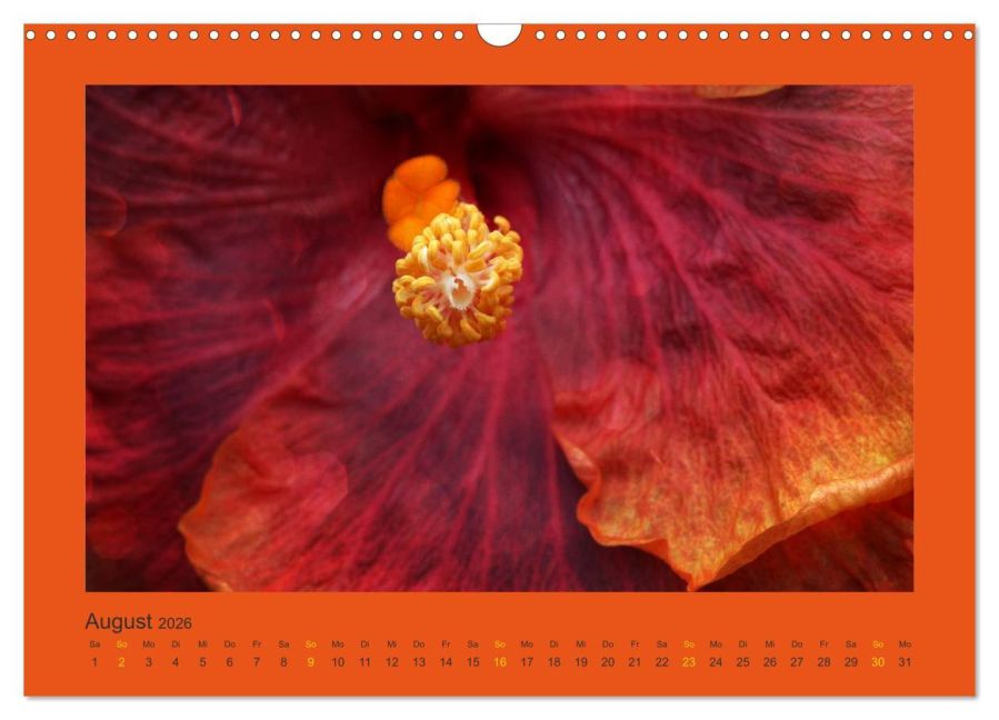 InsideView 13