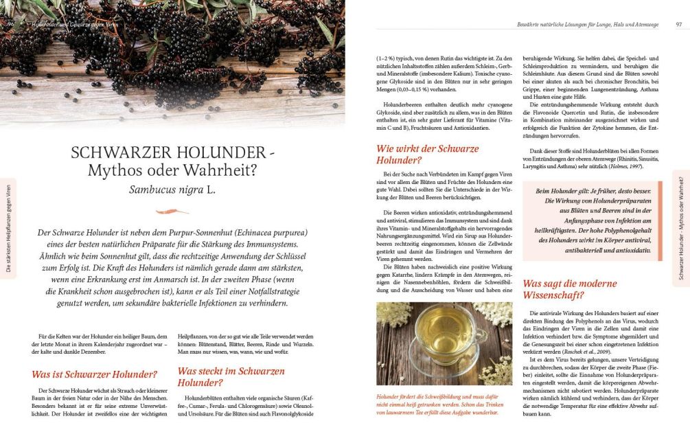 InsideView 14