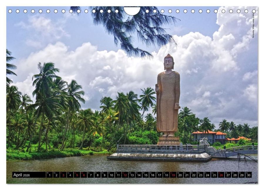 InsideView 9
