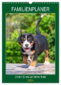 Familienplaner Großer Schweizer Sennenhund (Wandkalender 2024 DIN A3 hoch), CALVENDO Monatskalender - Sigrid Starick