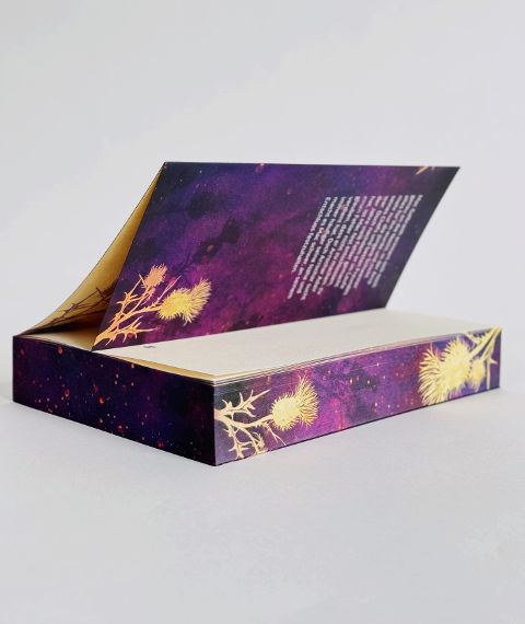 InsideView 4