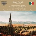 Primera Sinfonia en Re Mayor/+ - Jose/San Luis Potosi SO Miramontes Zapata