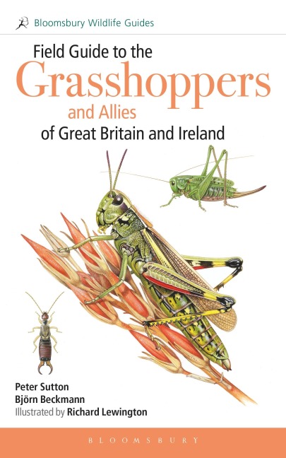 Field Guide to Grasshoppers and Allies of Great Britain and Ireland - Peter Sutton, Björn Beckmann