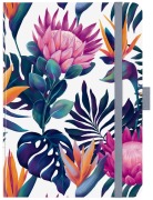 Cover-Bild zum Titel 'Premium Timer Midi "Exotica" 2026' von ''