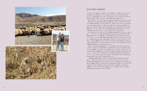 InsideView 13