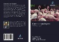 Cover-Bild zum Titel 'Dierentuin van Bagdad' von 'Faris Al-Obaidi, Adel Al-Khazraji, Shahrazad Al-Shadeedi'