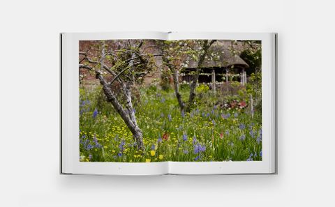 InsideView 4