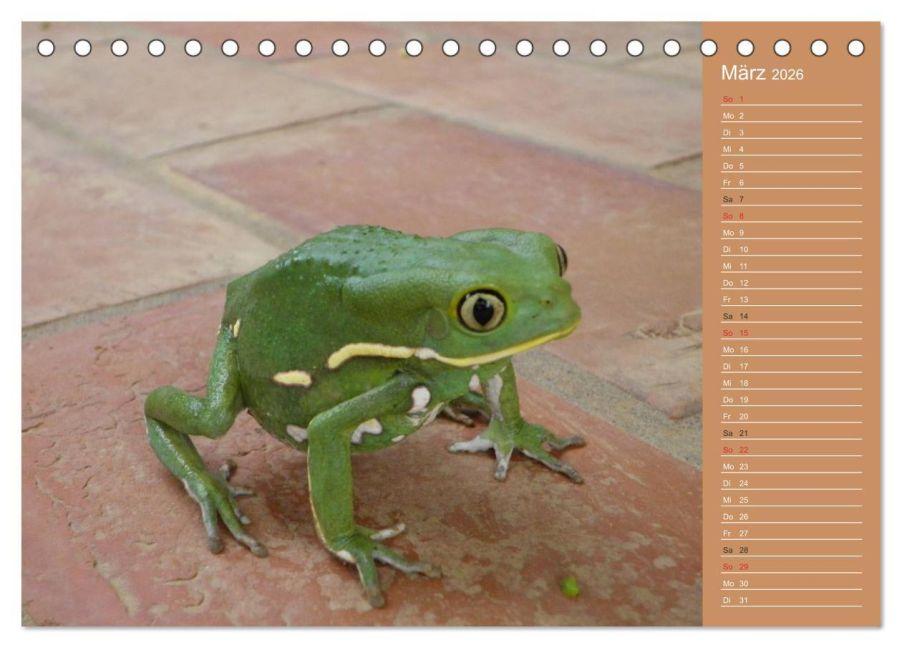 InsideView 8