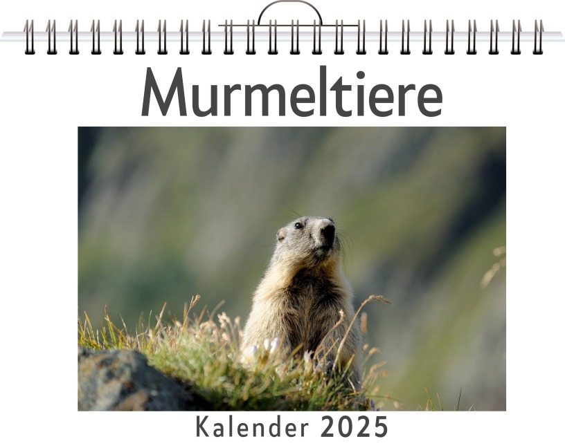 Murmeltiere - Mia Huber