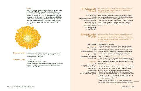 InsideView 13
