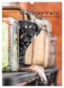 Cover-Bild zum Titel 'Hundeportraits - Monatskalender (Wandkalender 2026 DIN A3 hoch), CALVENDO Monatskalender' von 'Bc Tierfotografie Bianca Clemens'