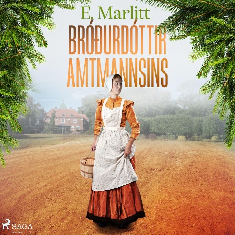 Bróðurdóttir amtmannsins - E. Marlitt