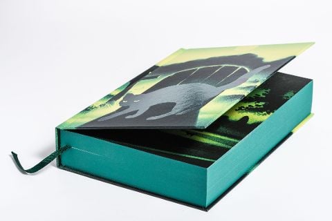 InsideView 7