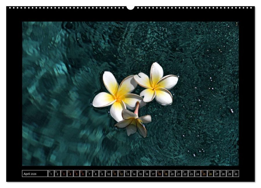 InsideView 9