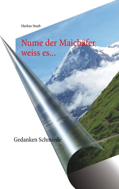 Nume der Maichäfer weiss es... - Markus Staub