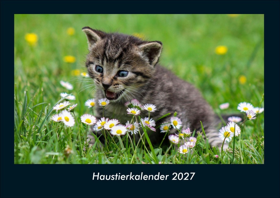 Haustierkalender 2027 Fotokalender DIN A4 - Tobias Schmitt, Kevin Heber