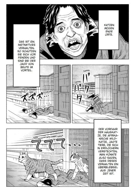 InsideView 5