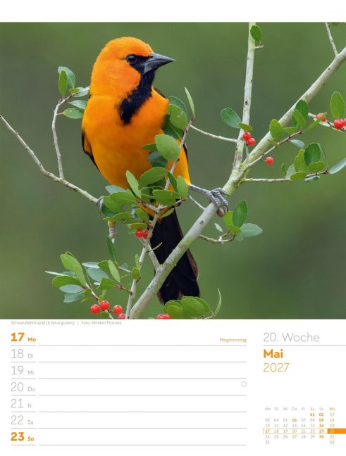 InsideView 24