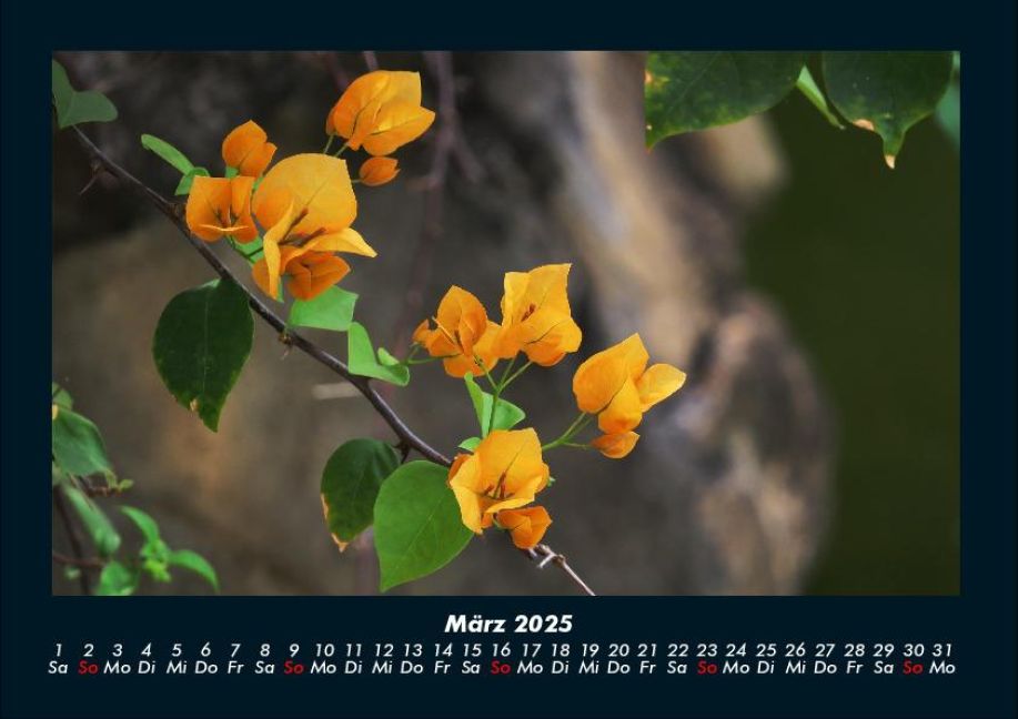 InsideView 7