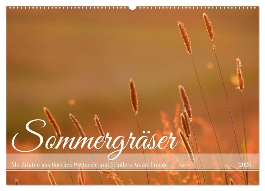 Sommergräser (Wandkalender 2026 DIN A2 quer), CALVENDO Monatskalender - Daniela Tapper