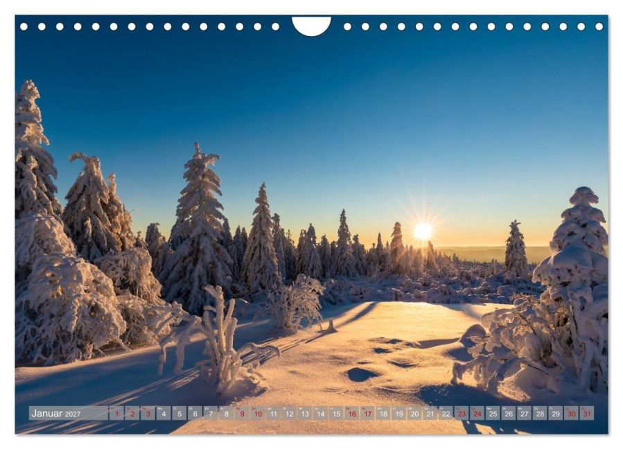 InsideView 6
