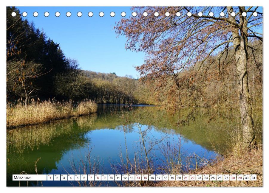 InsideView 8