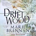 Cover-Bild zum Titel 'Driftwood' von 'Marie Brennan'