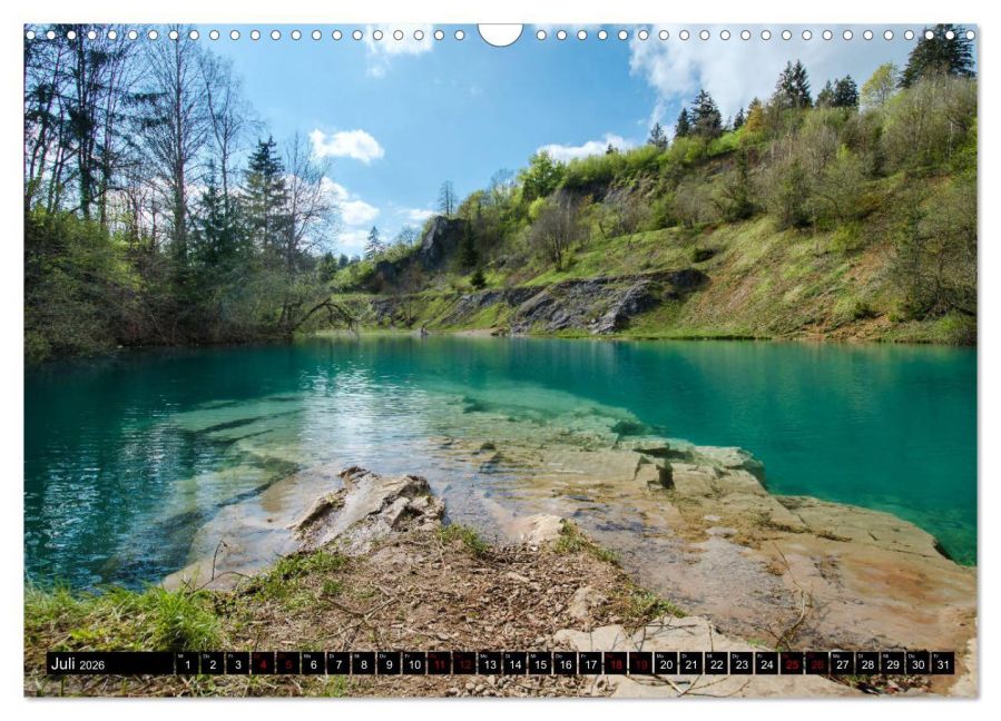 InsideView 12