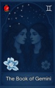 Cover-Bild zum Titel 'The Book of Gemini' von 'Alina Rubi'