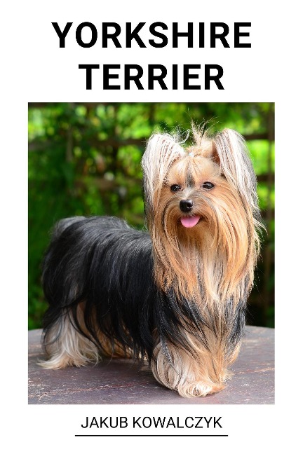 Yorkshire Terrier - Jakub Kowalczyk