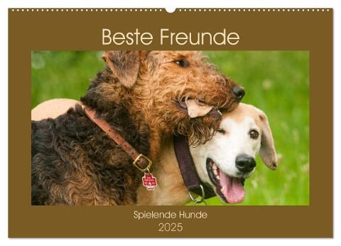 Beste Freunde - Spielende Hunde (Wandkalender 2025 DIN A2 quer), CALVENDO Monatskalender - Meike Bölts