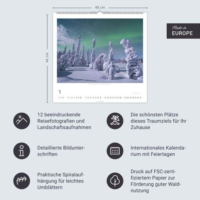 InsideView 13