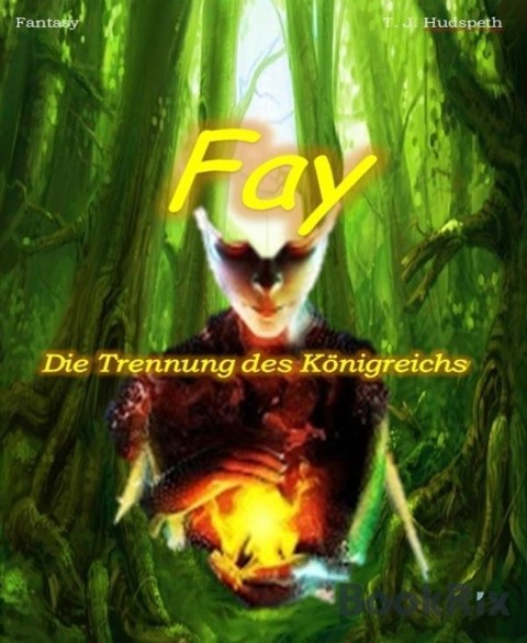 Fay - Die Trennung des Königreichs - T. J. Hudspeth