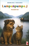 Cover-Bild zum Titel 'Lumpenpumpel' von 'Monika Kosugi'