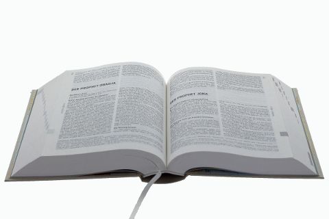 InsideView 3
