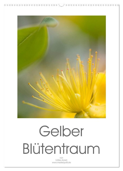 Gelber Blütentraum (Wandkalender 2025 DIN A2 hoch), CALVENDO Monatskalender - Ulrike Adam