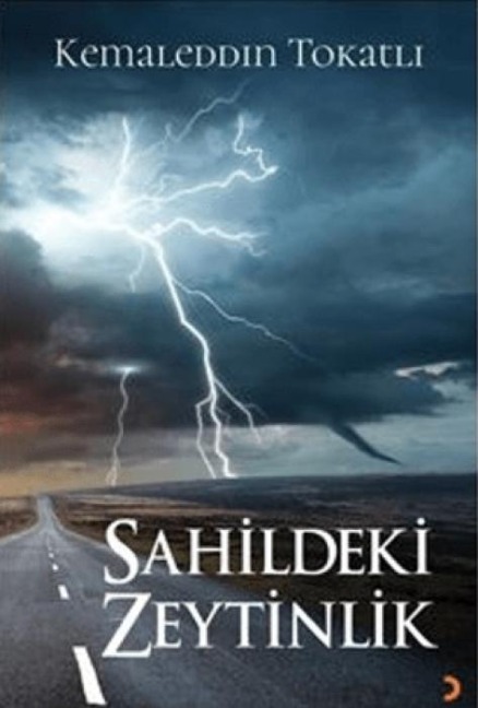 Sahildeki Zeytinlik - Kemaleddin Tokatli