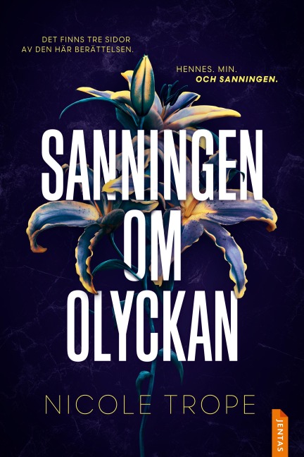 Sanningen om olyckan - Nicole Trope