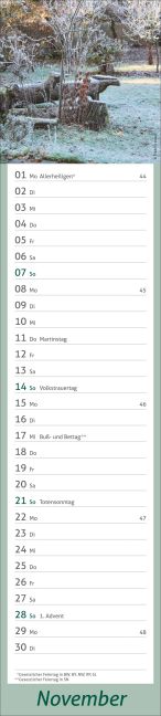 InsideView 11