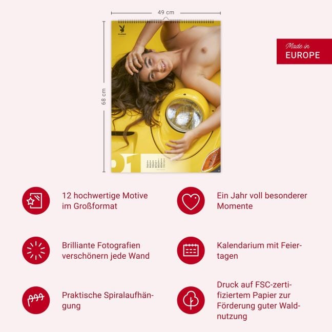 InsideView 13