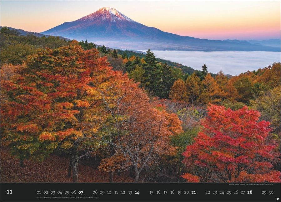InsideView 11