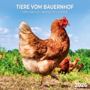 Tiere vom Bauernhof 2026 - 