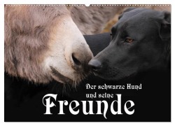Der schwarze Hund und seine Freunde (Wandkalender 2026 DIN A2 quer), CALVENDO Monatskalender - Michael Gsödl