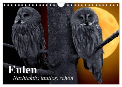 Cover-Bild zum Titel 'Eulen. Nachtaktiv, lautlos, schön (Wandkalender 2026 DIN A4 quer), CALVENDO Monatskalender' von 'Elisabeth Stanzer'