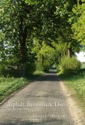 Cover-Bild zum Titel 'Asphalt. Brunsmark. Dom.' von 'Fernando Offermann'