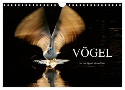 Cover-Bild zum Titel 'VÖGEL (Wandkalender 2026 DIN A4 quer), CALVENDO Monatskalender' von 'Luis Manuel Iglesias Nuñez'